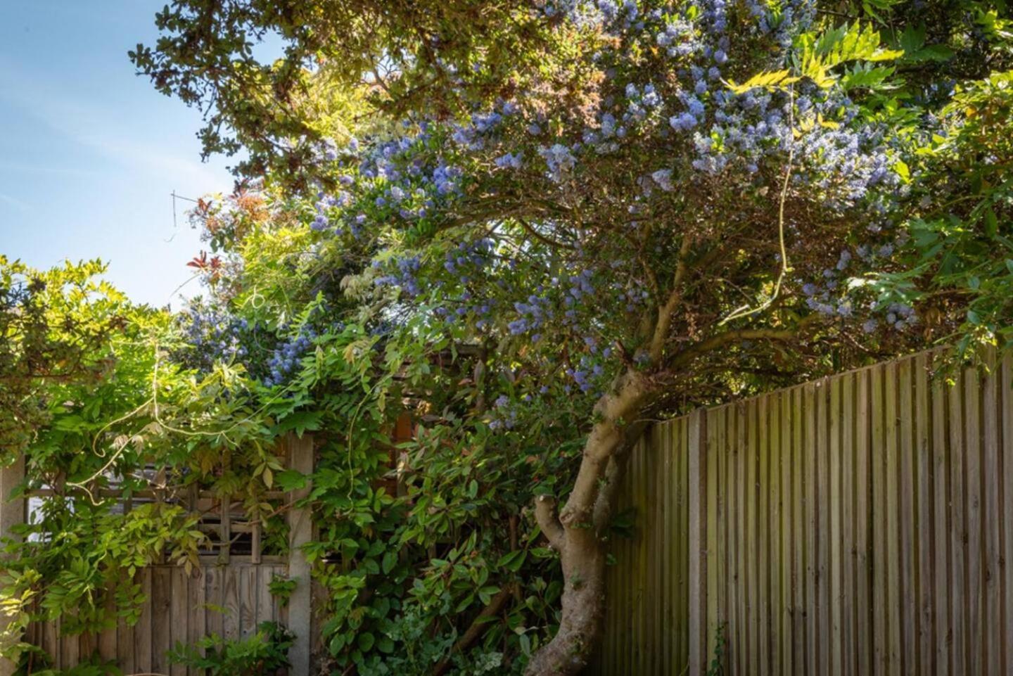 Eden Cottage วิทสเตเบิล ภายนอก รูปภาพ